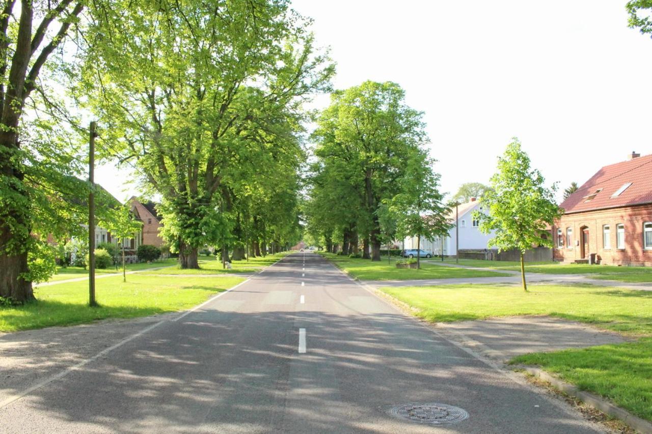 Zur Alten Tabakscheune Buchholz  Exteriör bild